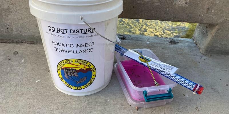 Adult caddisflies are monitored with black light traps to determine seasonal abundance